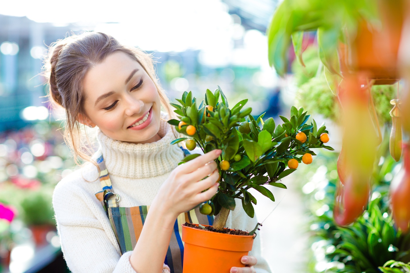 A Good Lawn always  Adds Value to Your Property